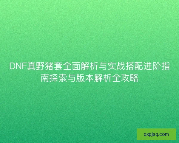 DNF真野猪套全面解析与实战搭配进阶指南探索与版本解析全攻略